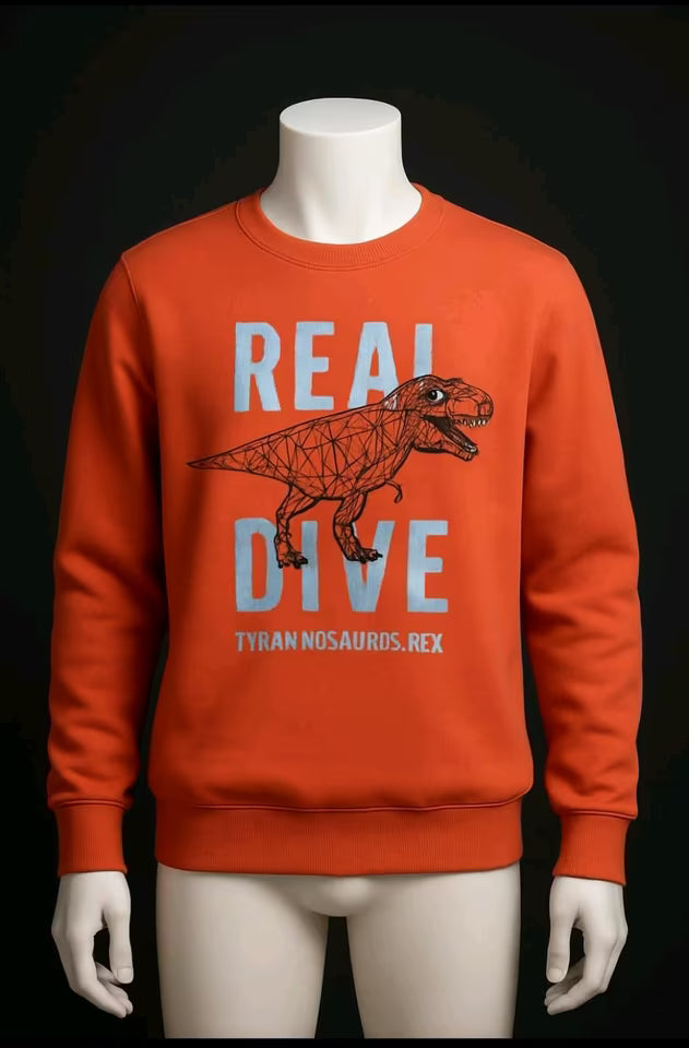 Lupilu Jungen Pullover  – Top Zustand